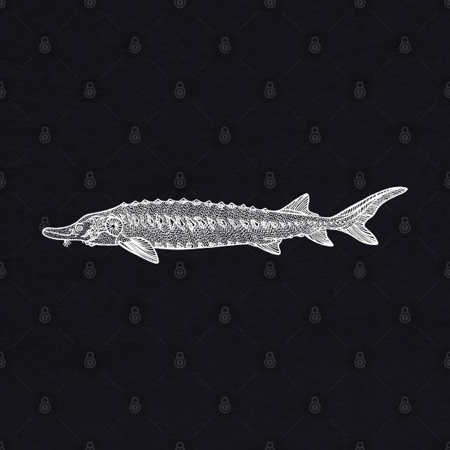 Hand drawn Sturgeon Fish design by Green Paladin